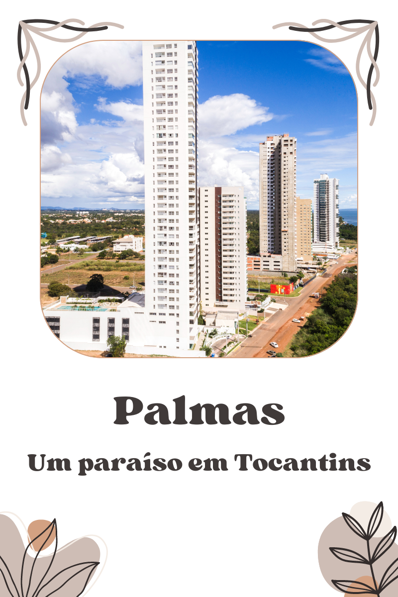 Palmas tocantins